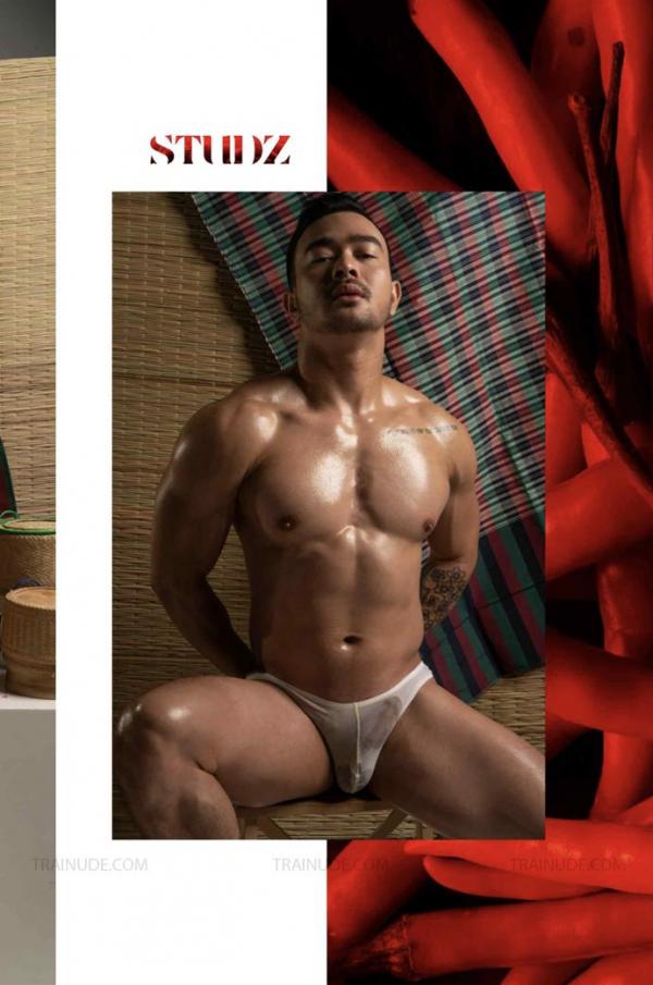 STUDZ-01--Zesty--Ebook--Video-